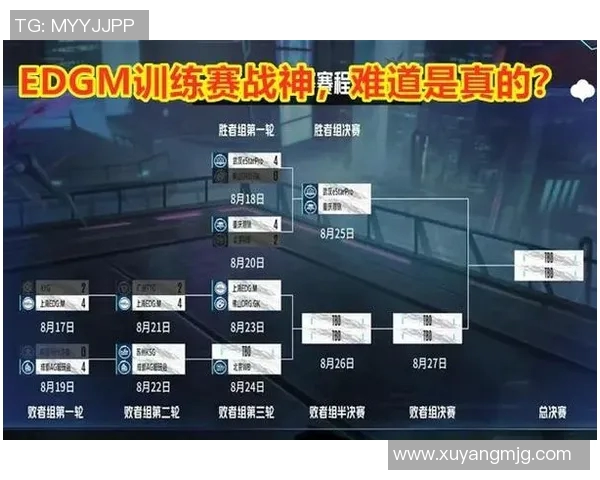 esports数据电竞比分深度对话周娜探寻王者荣耀背后的奋斗与荣耀人生
