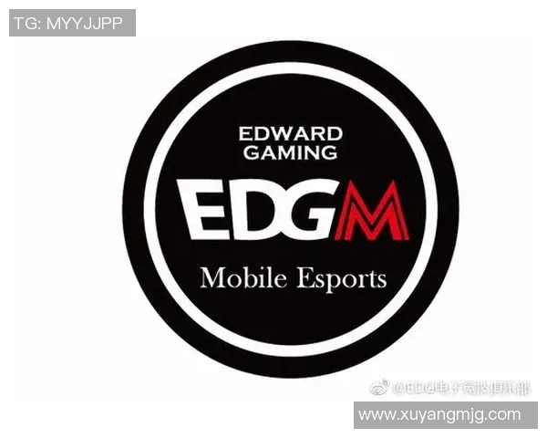 2026电竞新闻深入分析CSGO焦点EDG战术布局与团队协作策略探讨